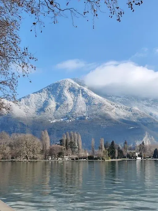 Two Bathrooms And Wc, Fireplace, Historical Center Annecy Apartment